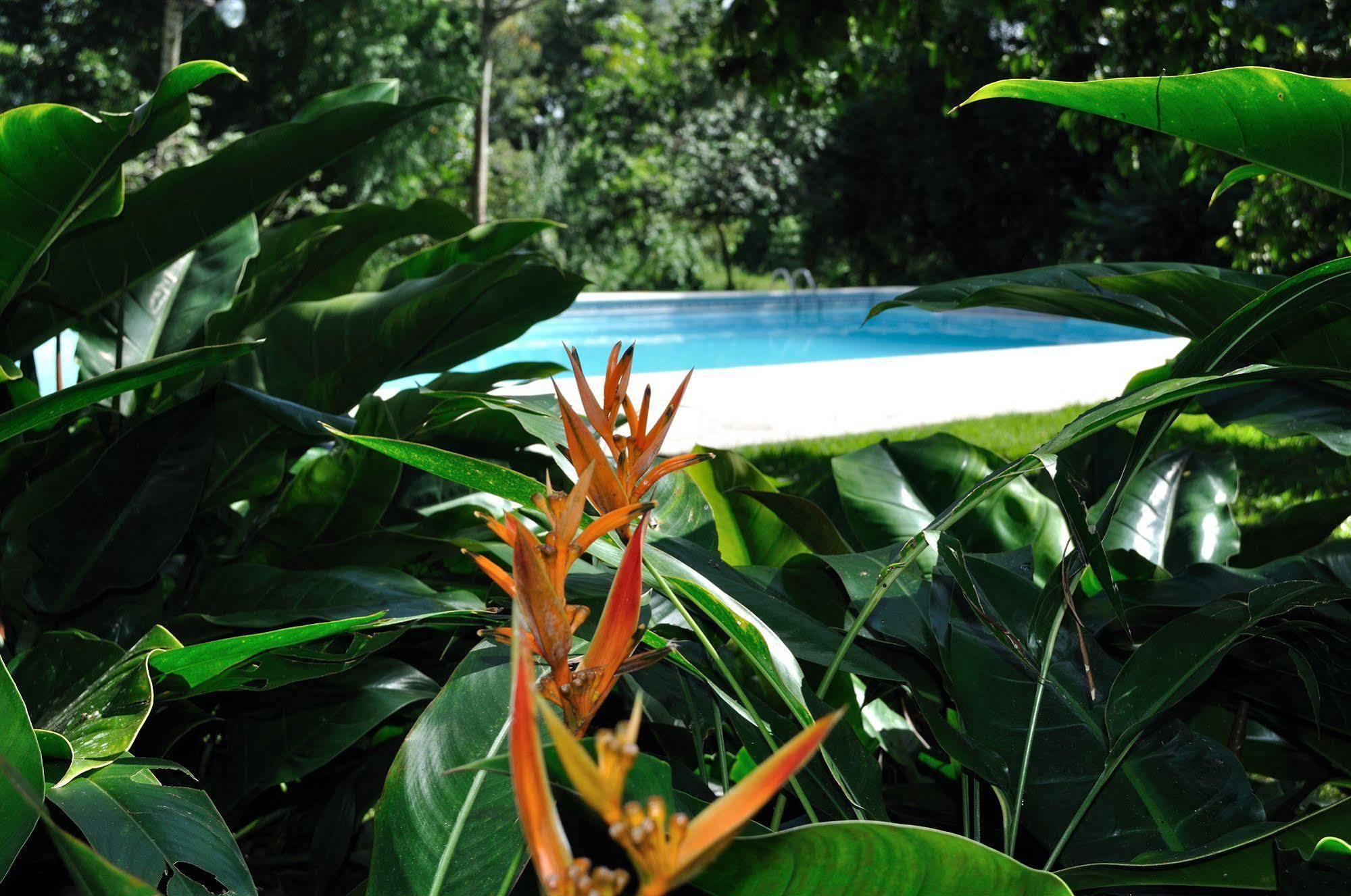 Rancho Baiguate Hotel Jarabacoa Bagian luar foto